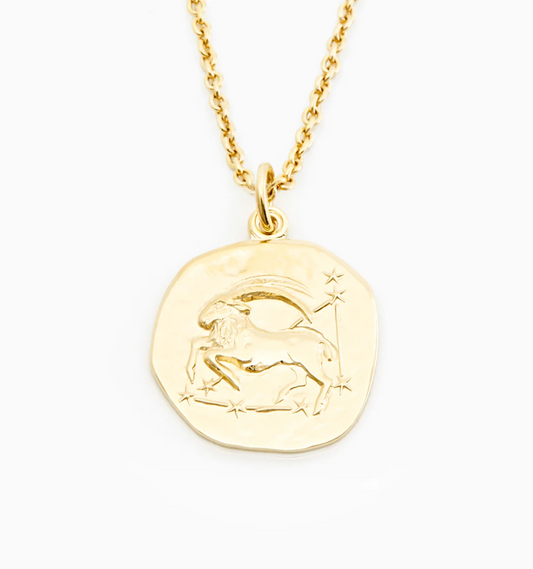 Collier zodiaque Capricorne en argent sterling 925