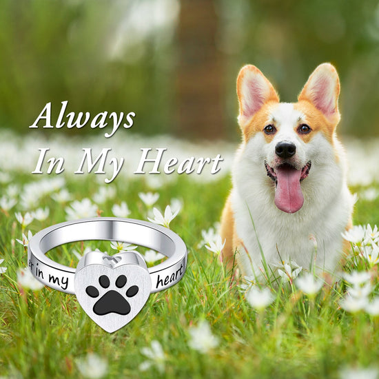925 Sterling Silver Ashes Cremation Jewelry Dog Paw Heart Shaped Urn Ring Cremation Jewelry for Ashes - onlyone
